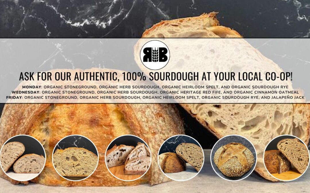 Jalapeño Jack Returns!