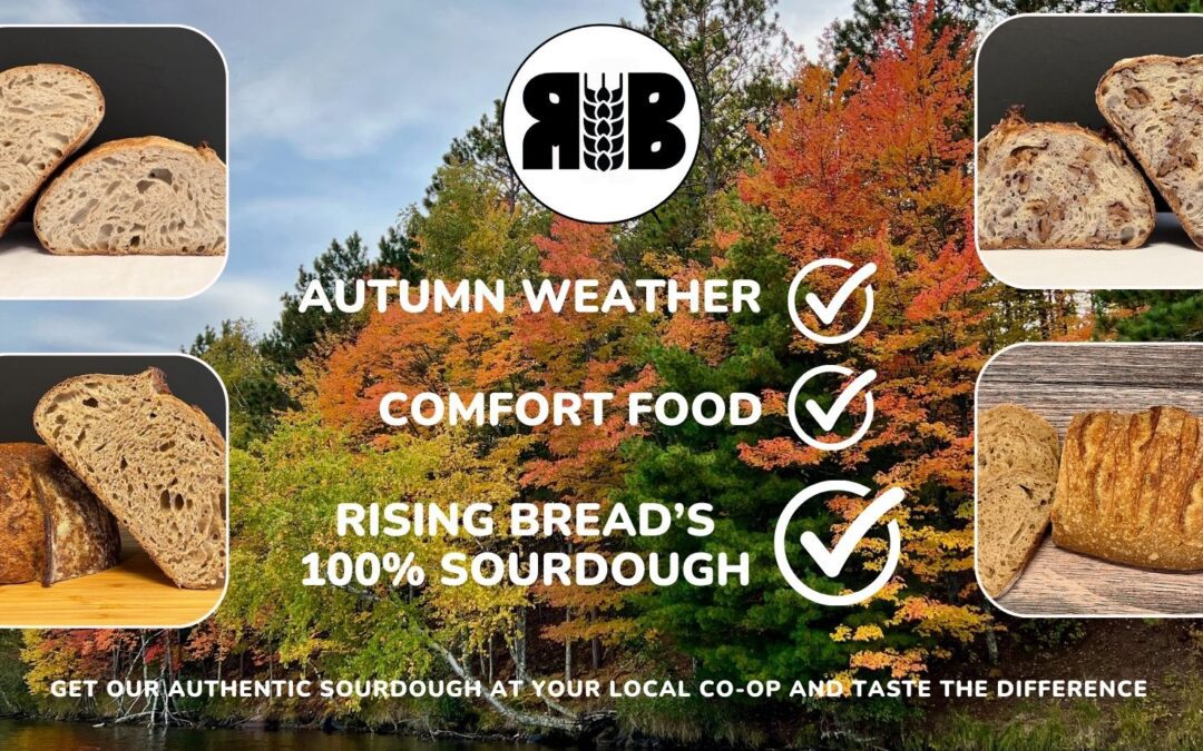 It’s Comfort Food Season!