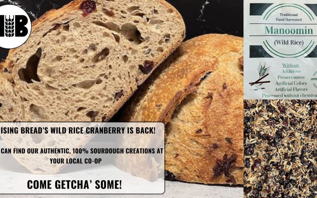 Wisconsin Wild Rice Meets Sourdough Magic – Wild Rice Cranberry is Back!