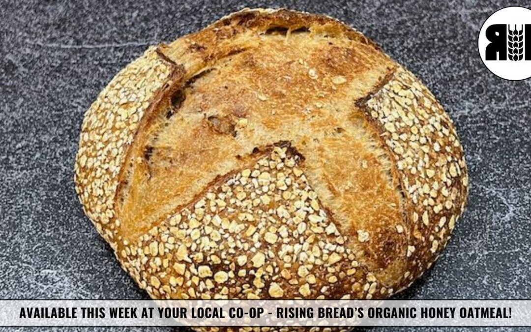 Healthful Indulgence: Introducing Our Organic Honey Oatmeal Sourdough
