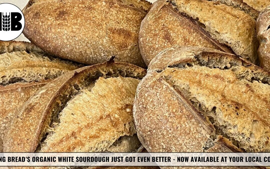 Our Organic White Sourdough Just Got Even Better
