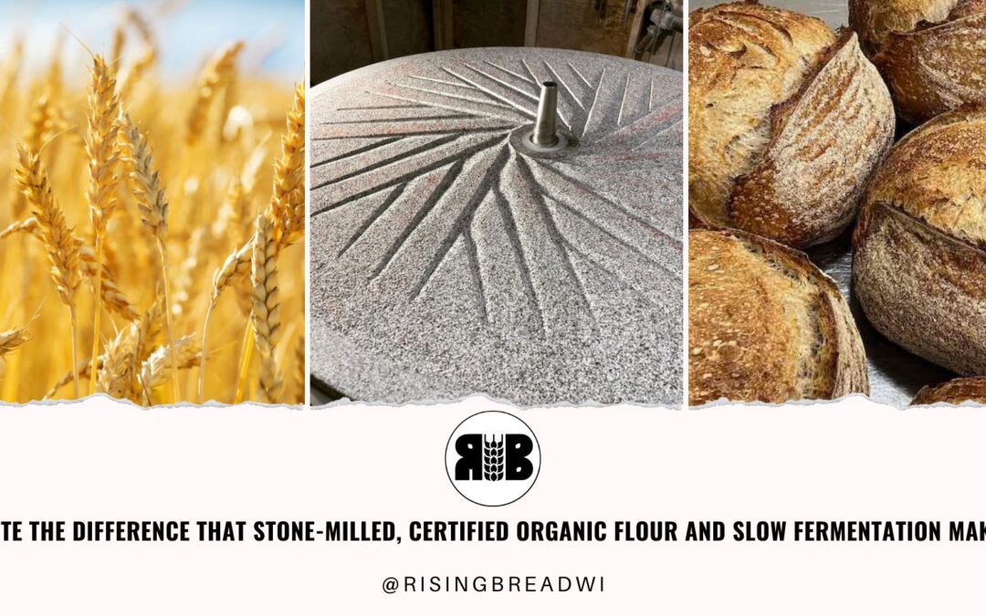 Not All Sourdough Tells the Same Story: Why Stone-Milled, Organic & Slow Fermentation Matters